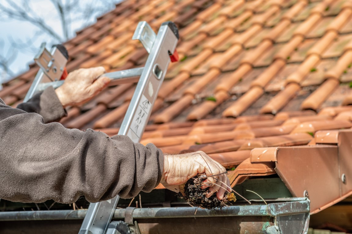 gutter cleaning company
